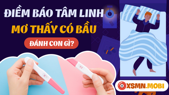 Chiêm bao có bầu, mang thai đánh con gì, số mấy?