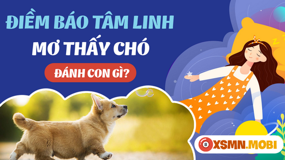 Đánh số bao nhiêu khi mơ thấy con chó?