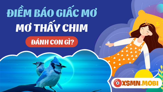 Chiêm bao thấy chim đánh số mấy dễ trúng?