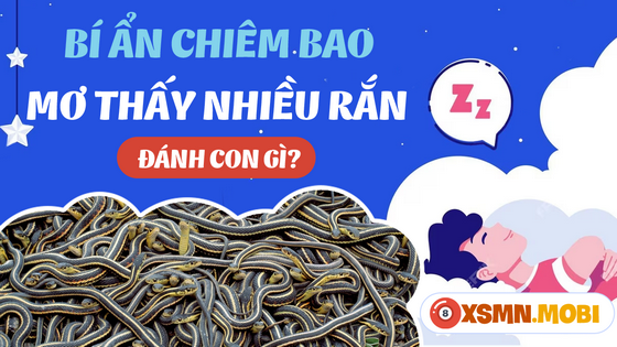 Mua số gì dễ trúng khi chiêm bao thấy nhiều rắn?