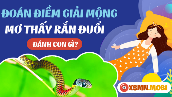 Mua con số gì dễ thắng đậm khi nằm mơ thấy rắn rượt đuổi?