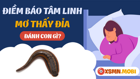 Mua số gì dễ trúng khi chiêm bao thấy con đỉa?