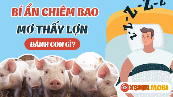 Đánh lô đề bao nhiêu nếu nằm mơ thấy con lợn, con heo?