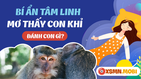 Đánh lô đề bao nhiêu khi nằm mơ thấy con khỉ