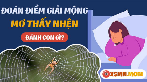 Đánh đề bao nhiêu khi nằm mơ thấy con nhện?