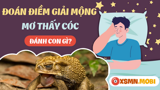 Chiêm bao thấy con cóc đánh lô đề con số mấy?