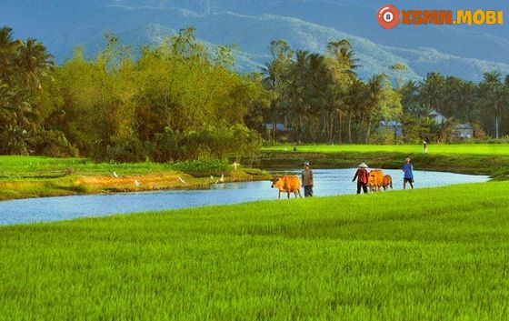 Chiêm bao thấy con sông có ý nghĩa may rủi như thế nào?