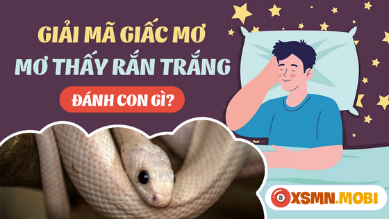 Đánh con gì dễ trúng nếu nằm mơ thấy con rắn trắng?