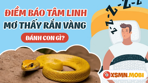 Chiêm bao thấy rắn vàng đánh số đề bao nhiêu thắng lớn?