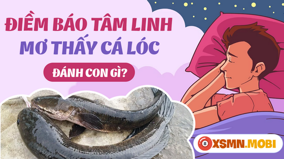 Ngủ mơ thấy cá lóc đánh con gì dế trúng số?