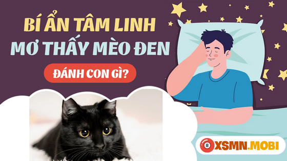 Chiêm bao thấy mèo đen đánh số bao nhiêu?