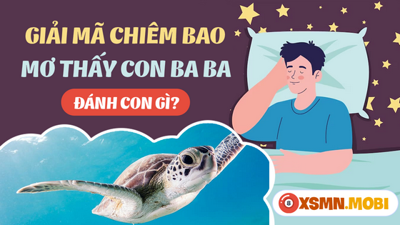 Mơ thấy ba ba có thể mua vé số bao nhiêu?